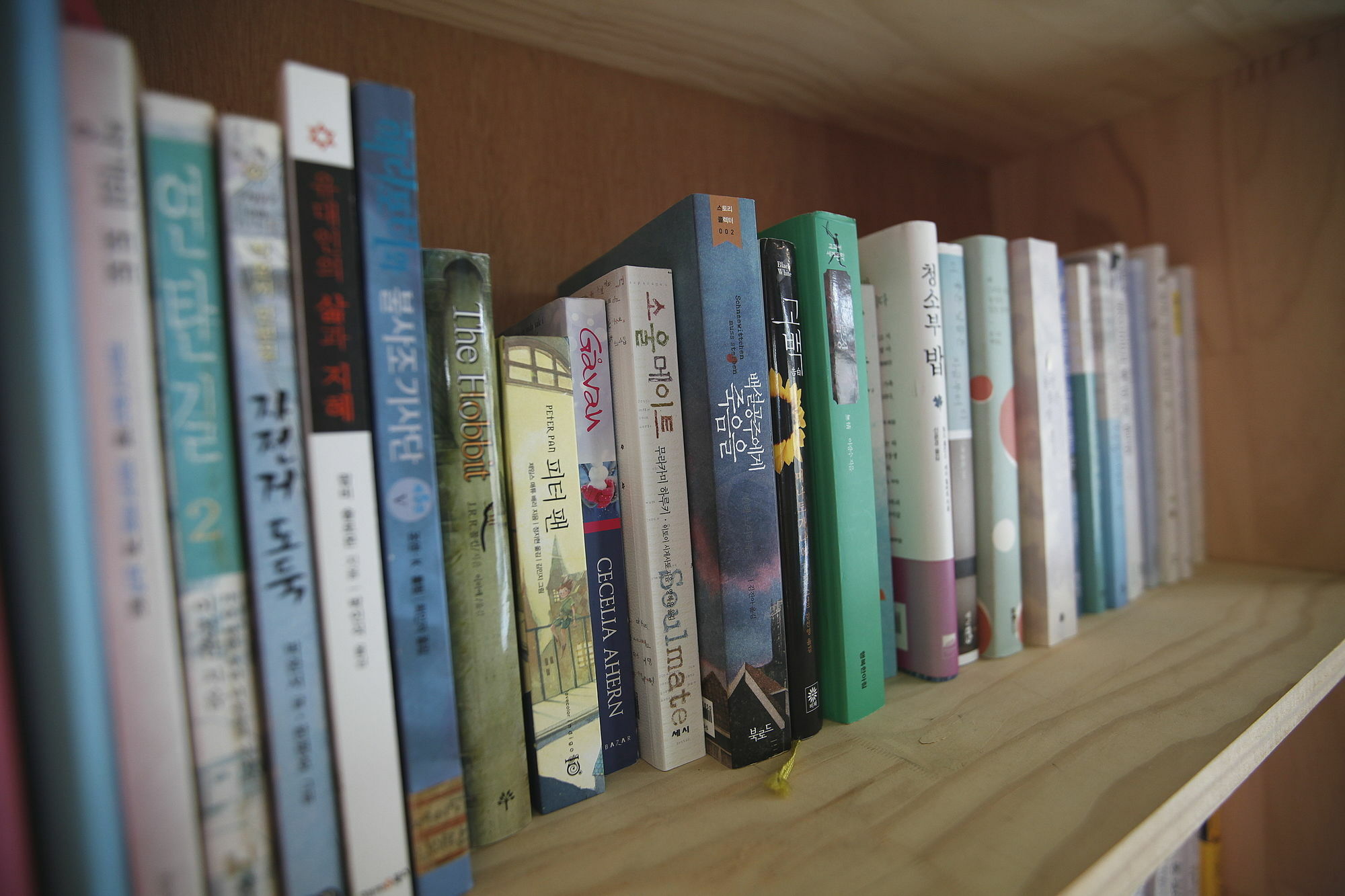 Bluefish Guesthouse Busan Ngoại thất bức ảnh