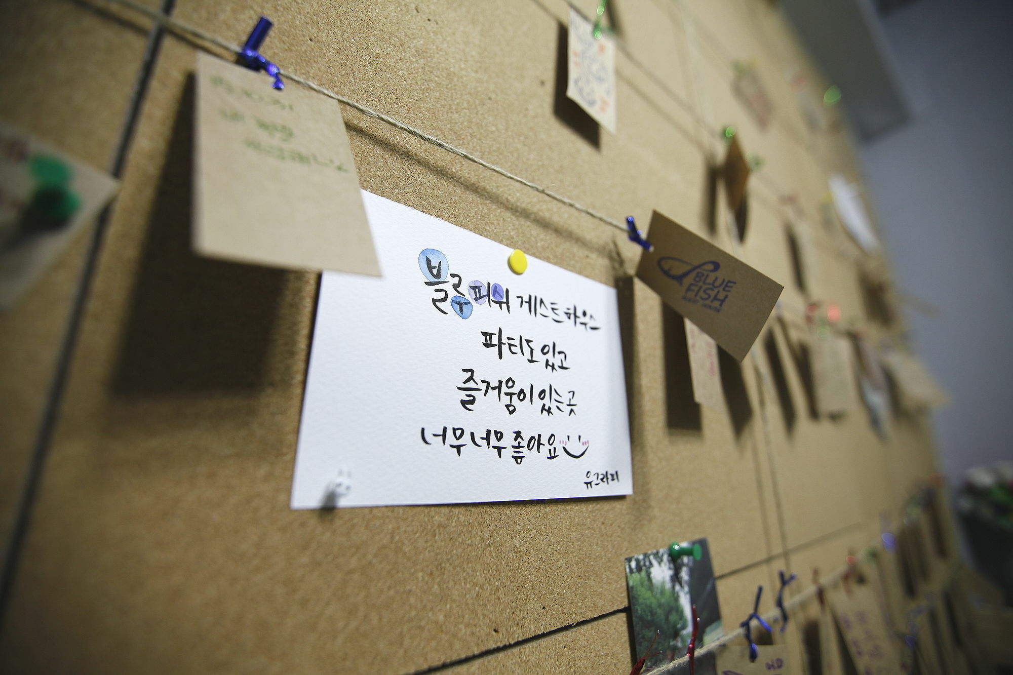 Bluefish Guesthouse Busan Ngoại thất bức ảnh